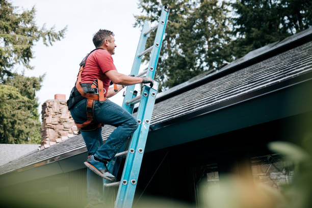 Best Roof Moss and Algae Removal  in Chisholm, MN